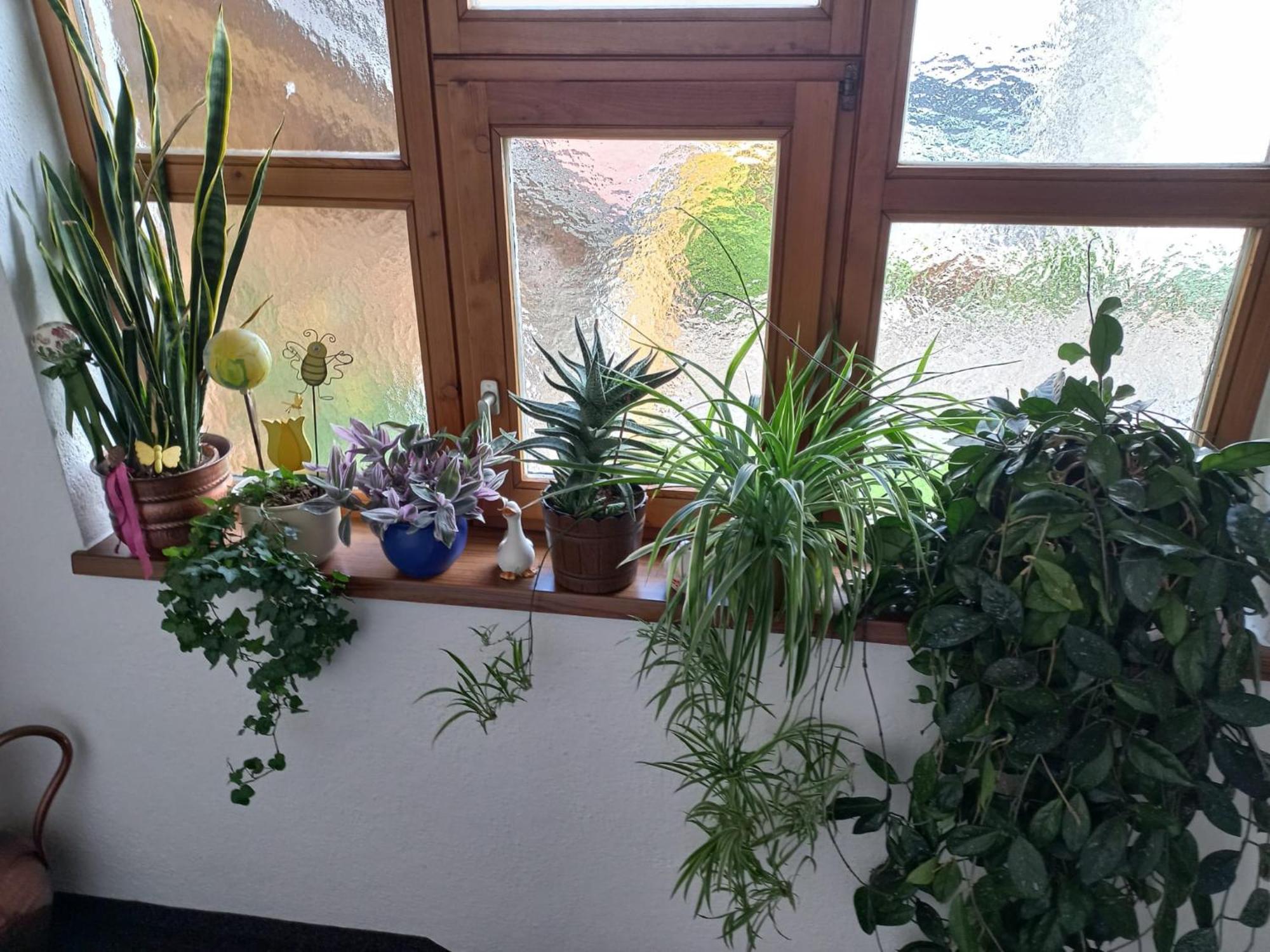 Ferienwohnungen Plattner Längenfeld Exterior foto